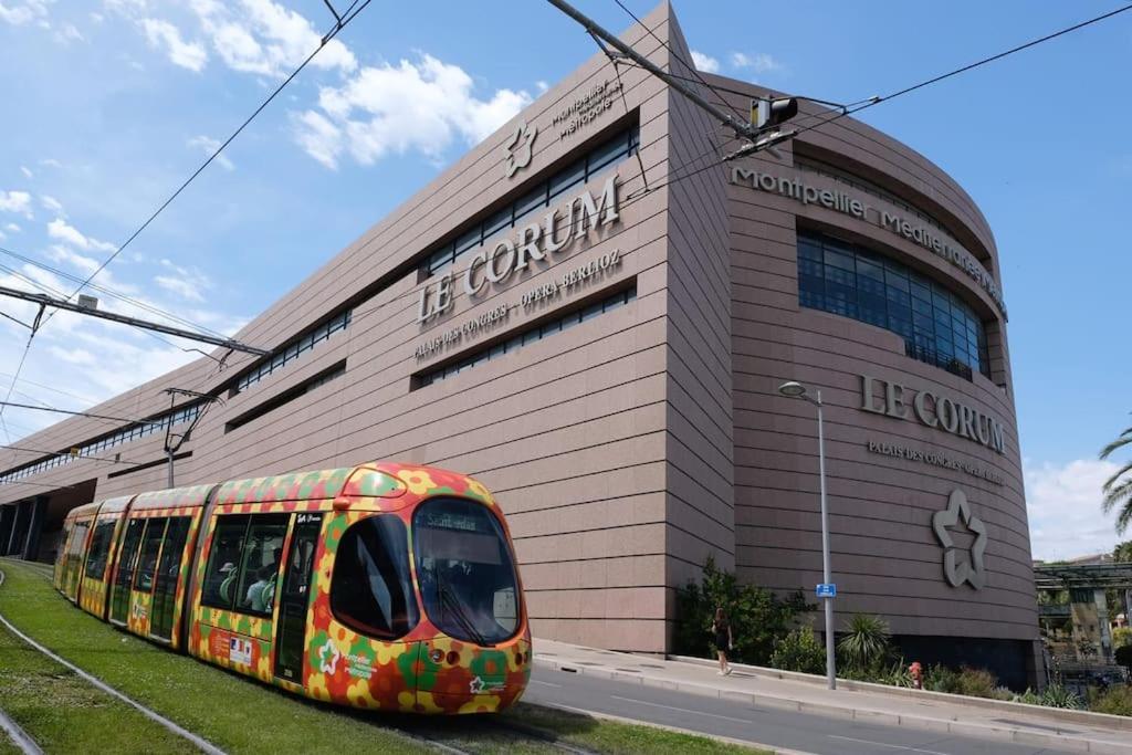 מונפלייה Confort Climatise Et Suite Privee En Sousplex מראה חיצוני תמונה